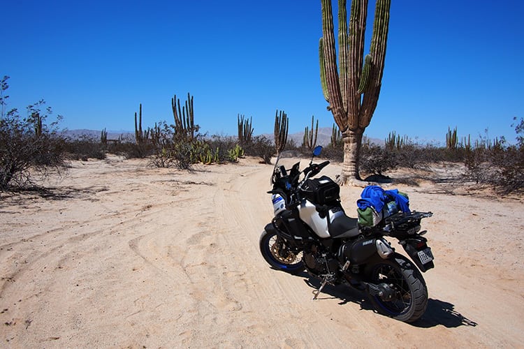 Valle de los Gigantes, Baja California en Moto